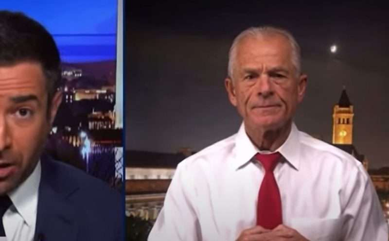 peter navarro on msnbc coup