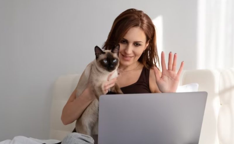 Navigating the Web Safely and Uncovering the World of Internet Scams