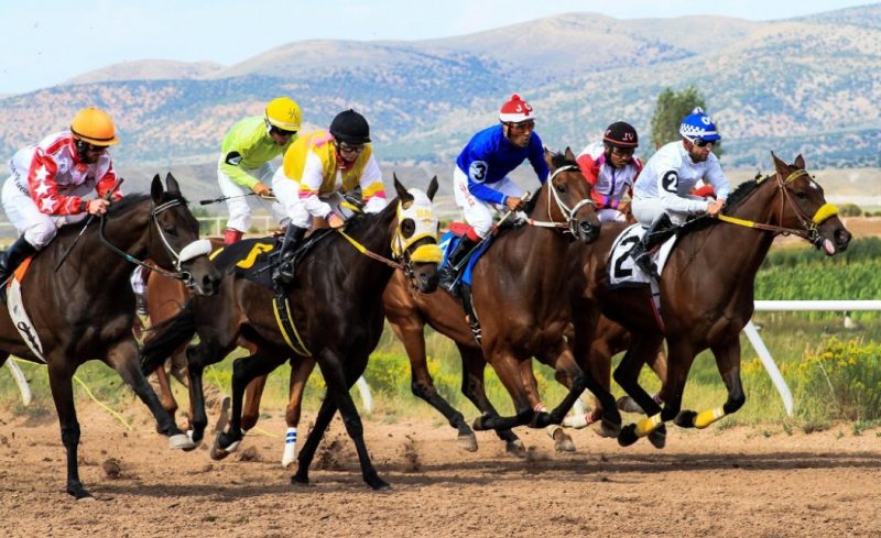 Essential Tips for Successful Sports Betting on MelBet Mongolia