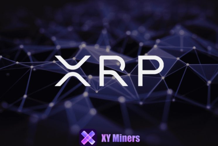 xy miners xrp