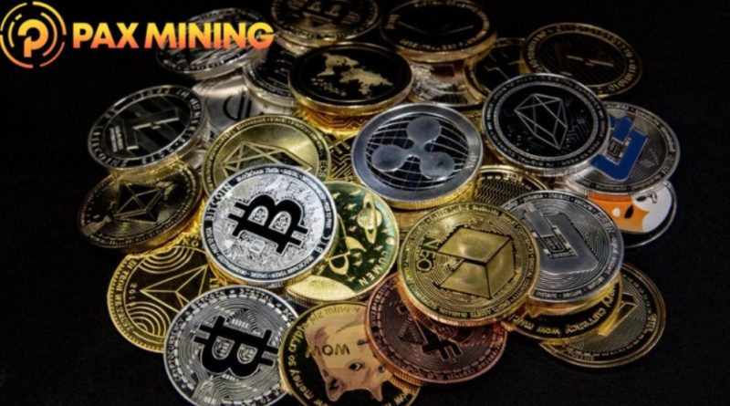 pax mining