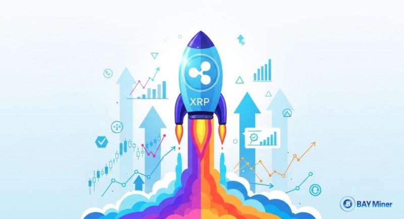 xrp bay mining