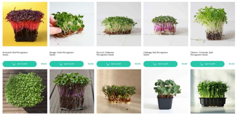 Microgreens seed - MP Seeds