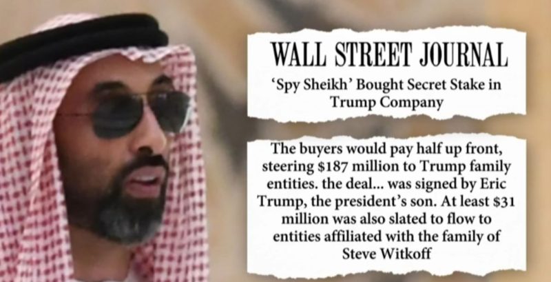 UAE 'Spy Sheikh' Secretly Bought 49% of Trump Crypto Company Before AI Chip Deal, WSJ Reports